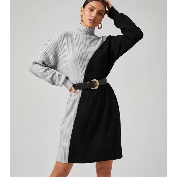 Turtle Neck Drop Shoulder Two Tone Sweater Dress - Picture 1 of 9